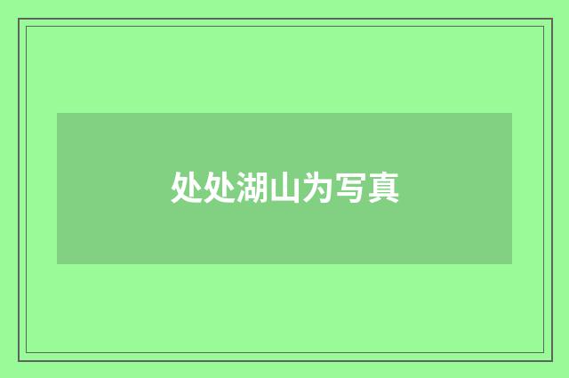 处处湖山为写真