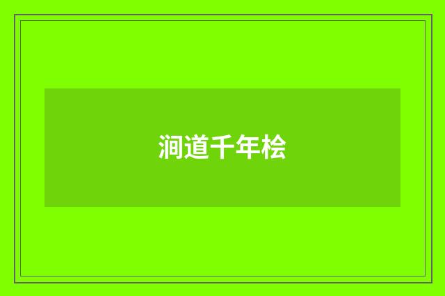 涧道千年桧