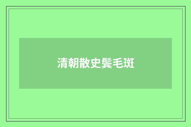 清朝散史鬓毛斑