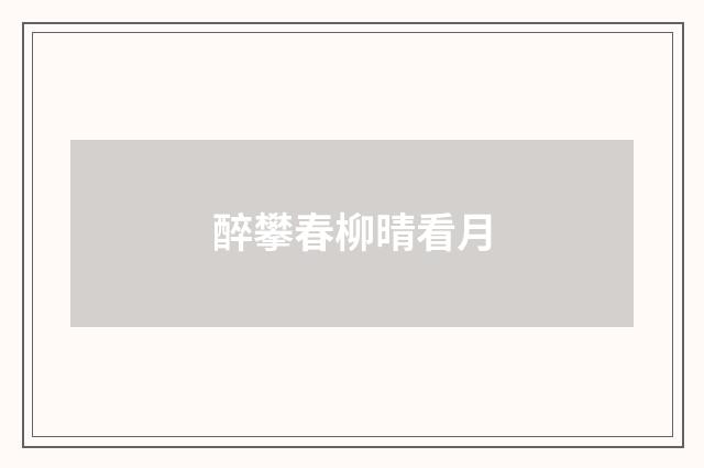 醉攀春柳晴看月