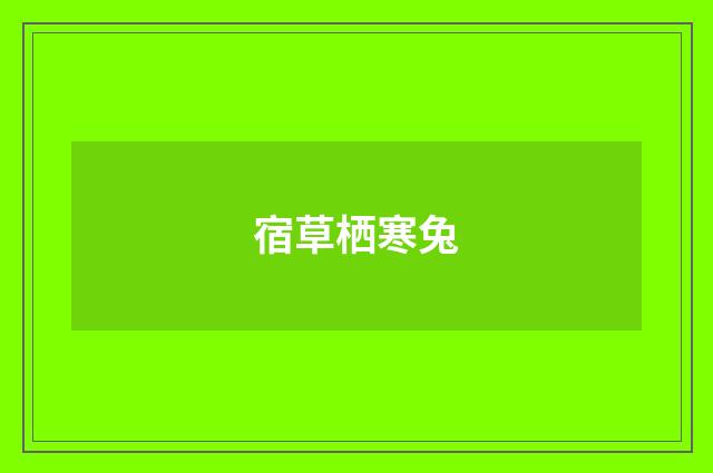 宿草栖寒兔