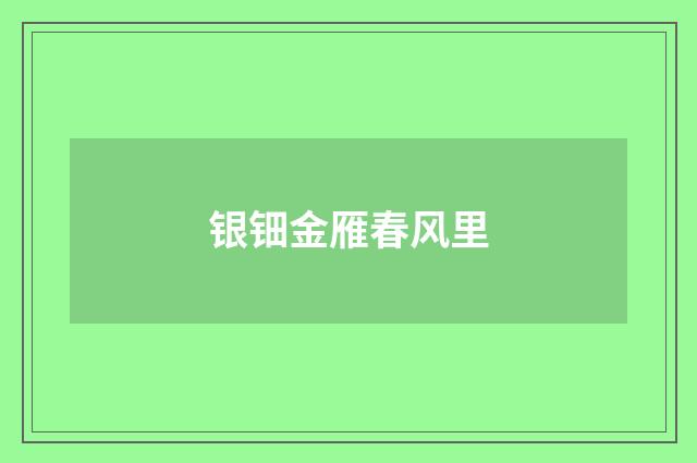 银钿金雁春风里