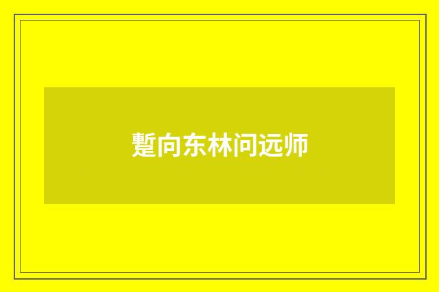 蹔向东林问远师
