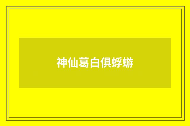 神仙葛白俱蜉蝣