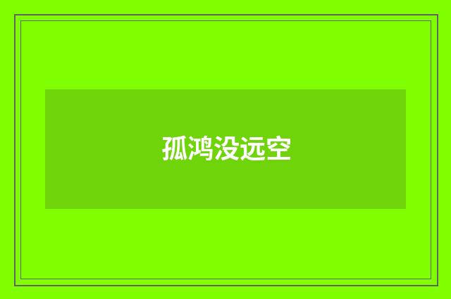 孤鸿没远空