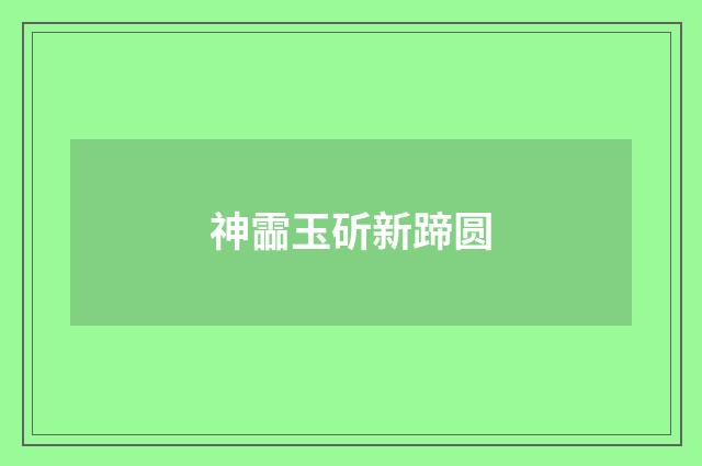神霝玉斫新蹄圆
