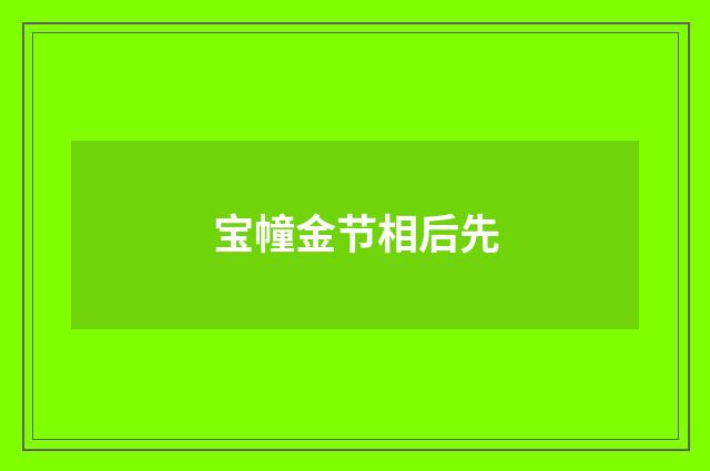 宝幢金节相后先