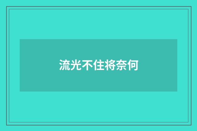 流光不住将奈何