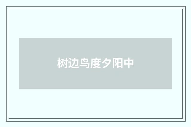 树边鸟度夕阳中