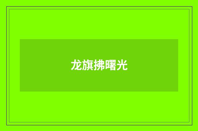 龙旗拂曙光