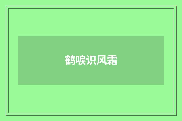 鹤唳识风霜