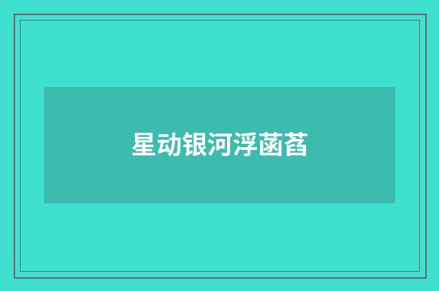 星动银河浮菡萏
