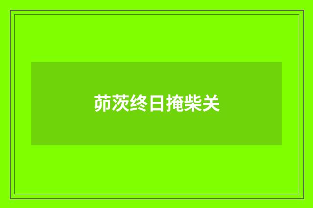 茆茨终日掩柴关