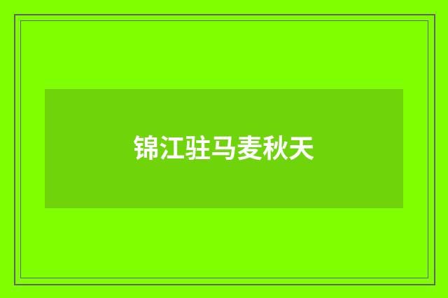 锦江驻马麦秋天