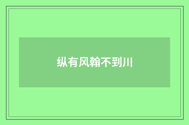 纵有风翰不到川