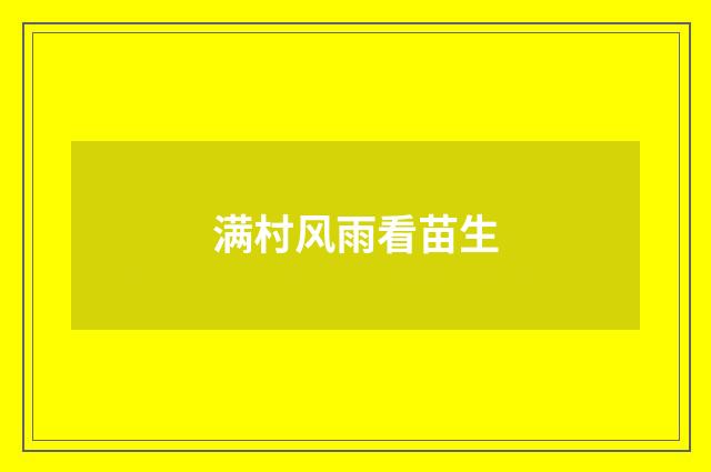 满村风雨看苗生