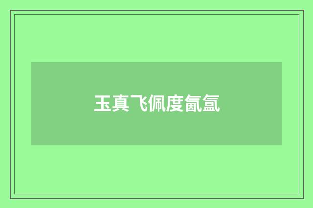 玉真飞佩度氤氲