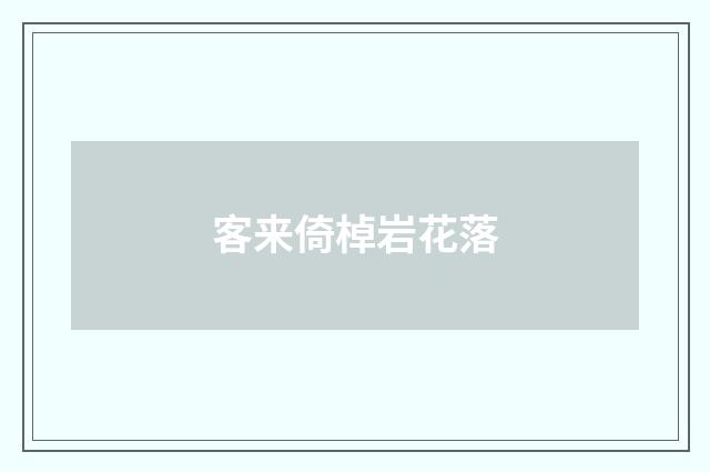 客来倚棹岩花落