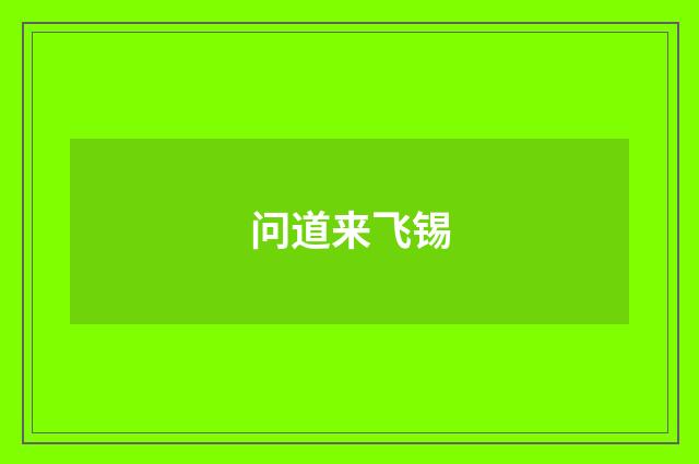 问道来飞锡