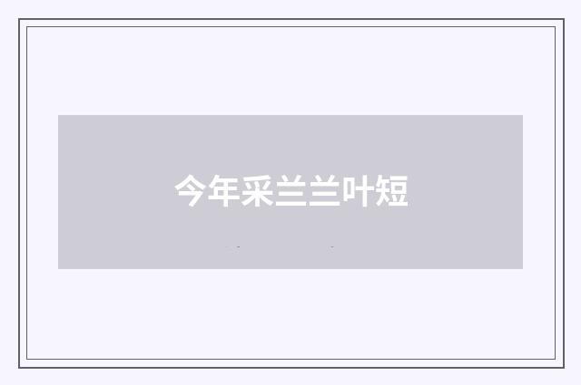 今年采兰兰叶短