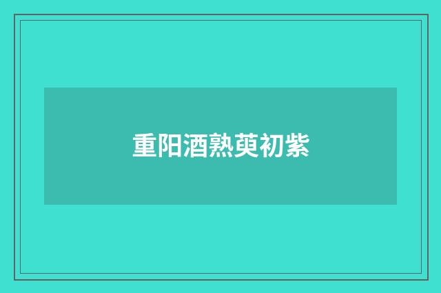 重阳酒熟萸初紫