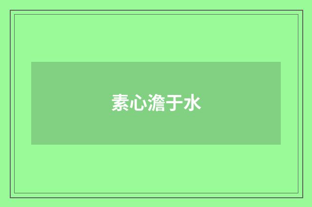 素心澹于水