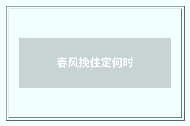 春风挽住定何时