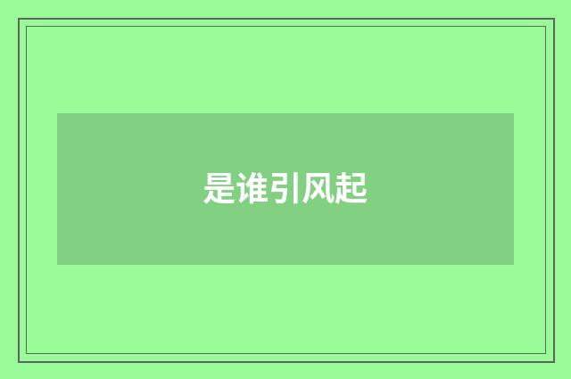 是谁引风起