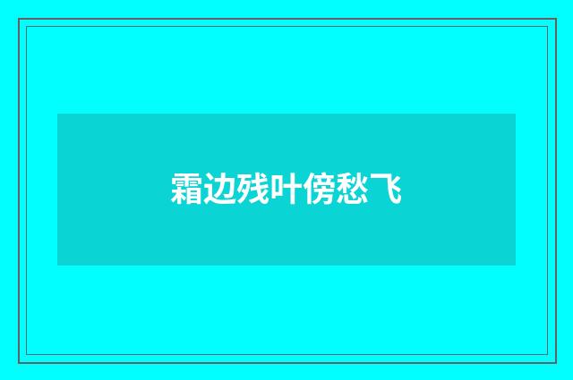 霜边残叶傍愁飞