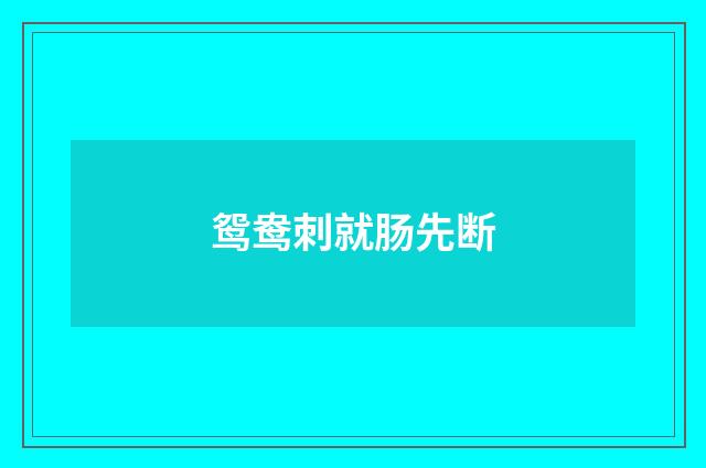 鸳鸯刺就肠先断