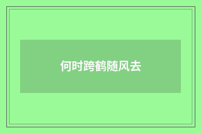 何时跨鹤随风去