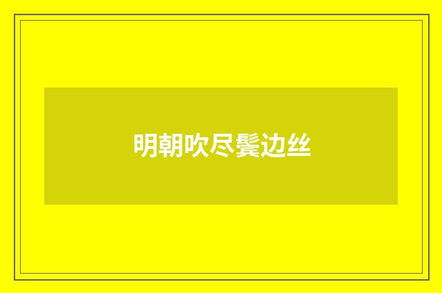 明朝吹尽鬓边丝