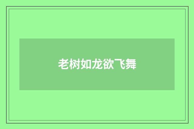老树如龙欲飞舞