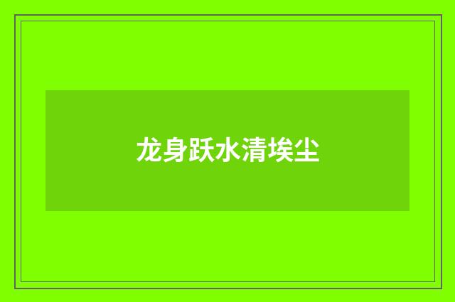 龙身跃水清埃尘