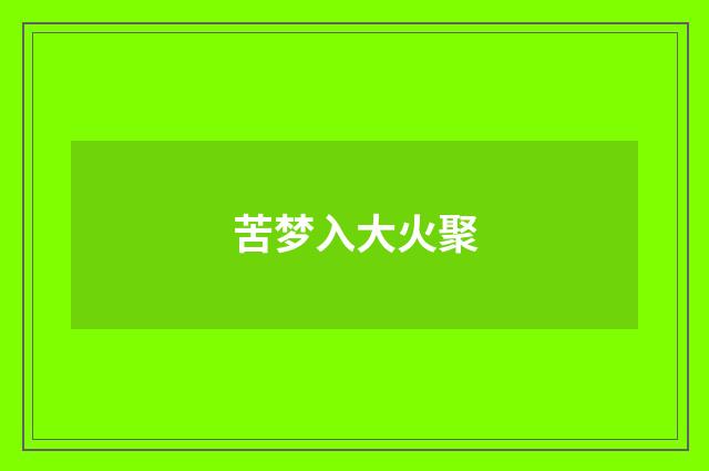 苦梦入大火聚