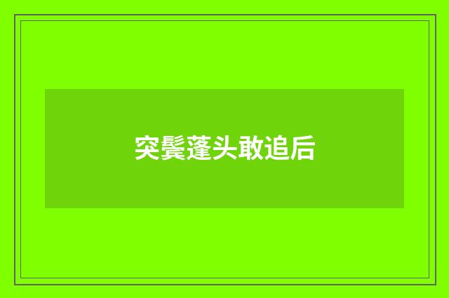 突鬓蓬头敢追后