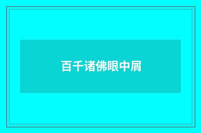 百千诸佛眼中屑