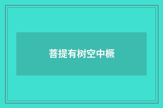 菩提有树空中橛