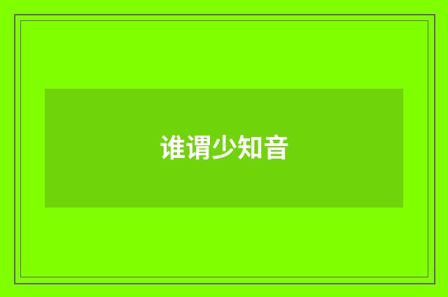 谁谓少知音