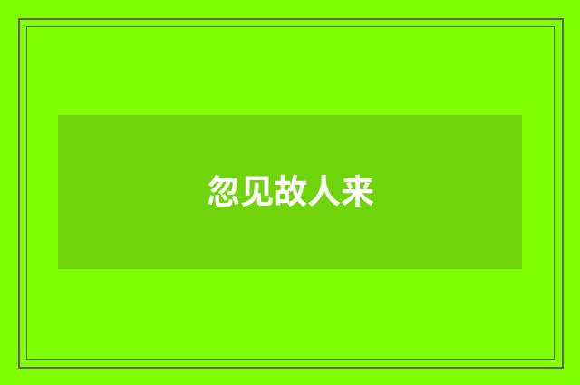 忽见故人来