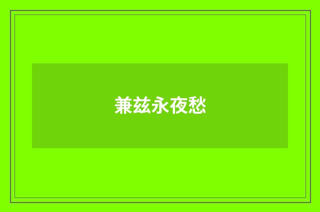 兼兹永夜愁