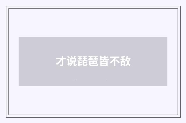 才说琵琶皆不敌