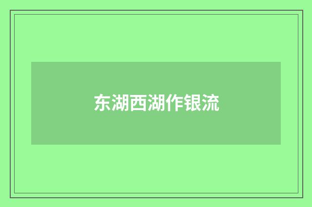 东湖西湖作银流