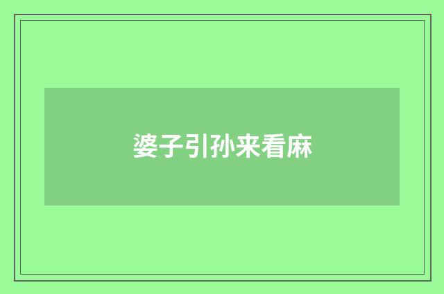 婆子引孙来看麻