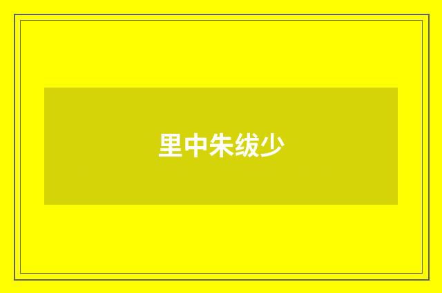 里中朱绂少