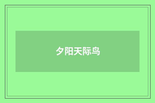 夕阳天际鸟