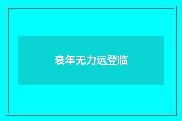 衰年无力远登临