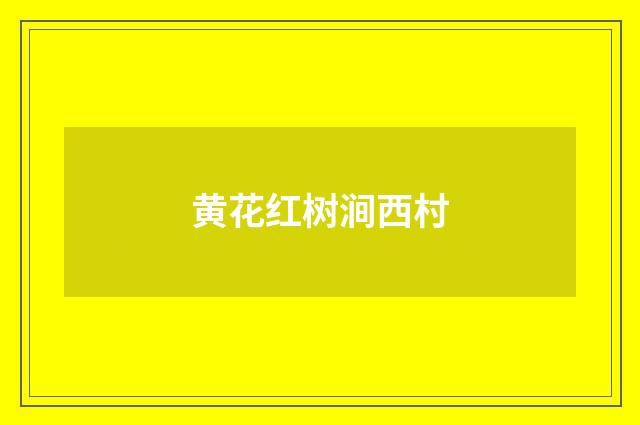 黄花红树涧西村