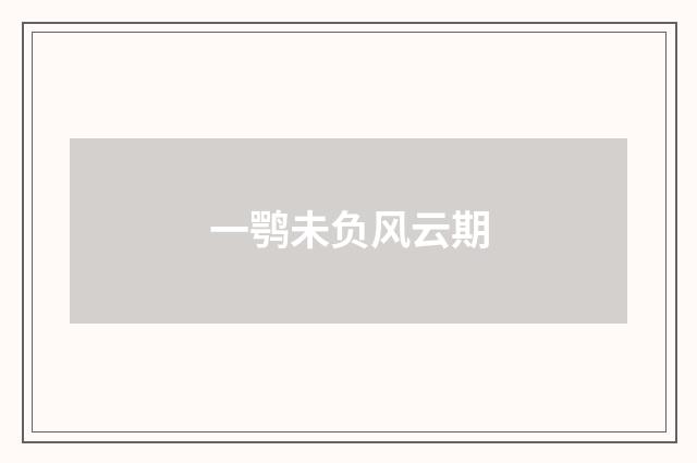 一鹗未负风云期