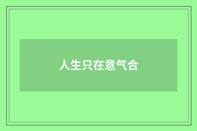 人生只在意气合